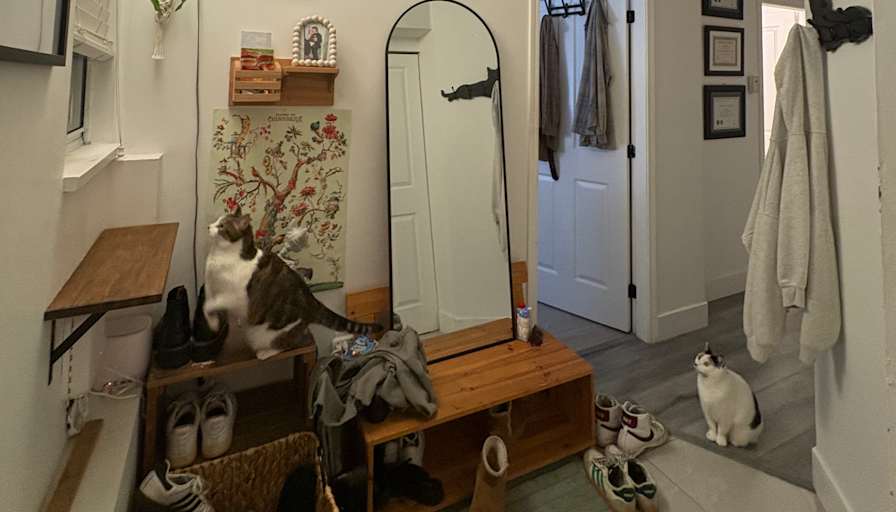 Maddy Ordough's room