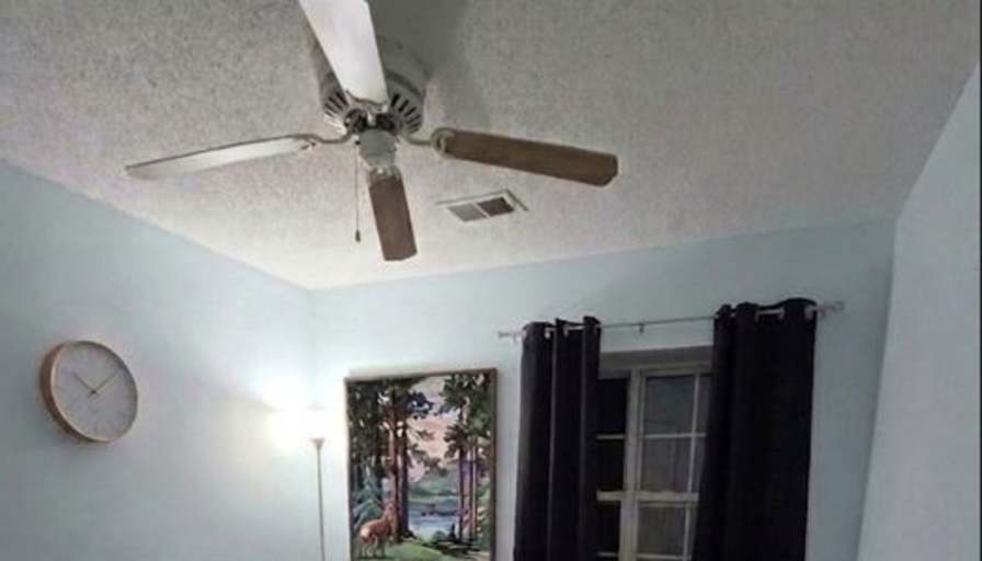 Shashi's room