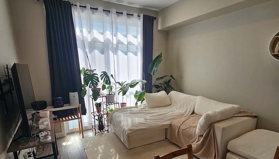 Alicia's room