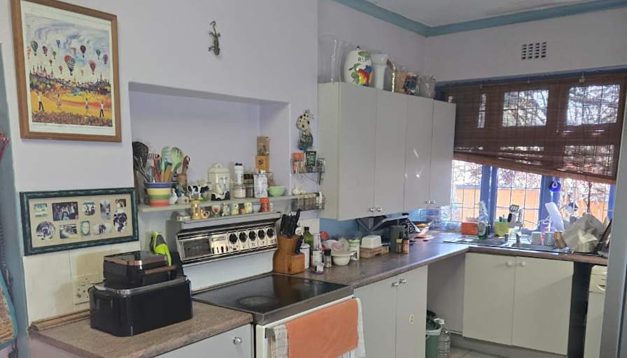 Green Point Tree House's room