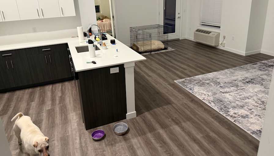 Chris's room