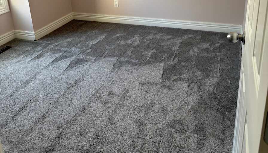 Cale Tamagi's room