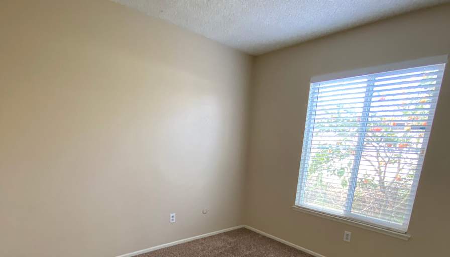 Cynthia's room