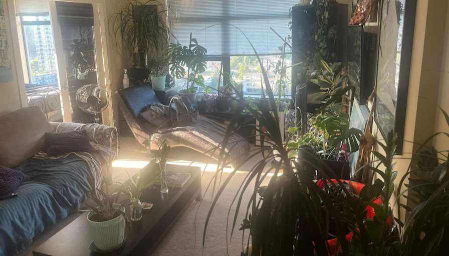 Richard Romano Carlsen's room