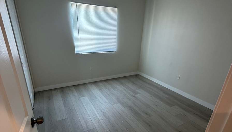 Mario's room