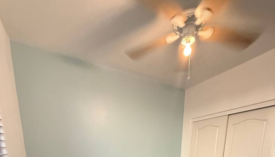 Timothy's room