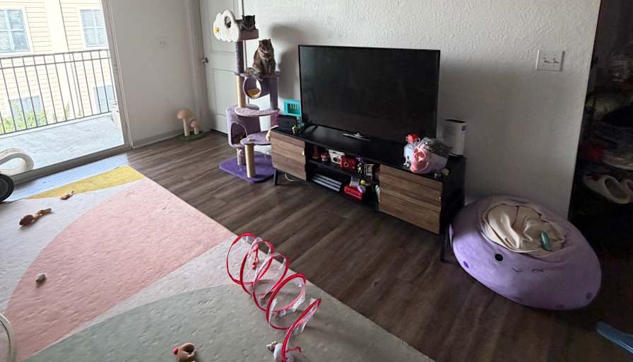 Sofia's room