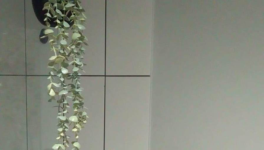 Feli's room