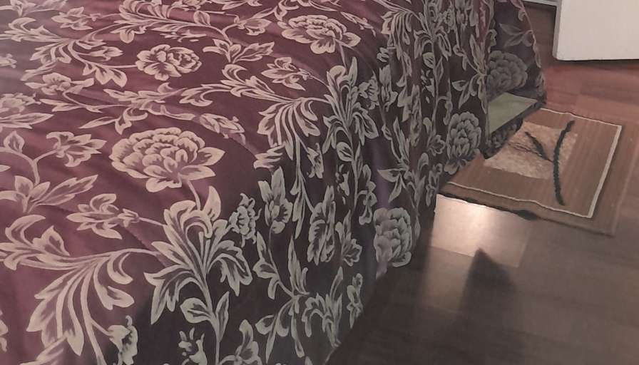 Edwina tutt's room