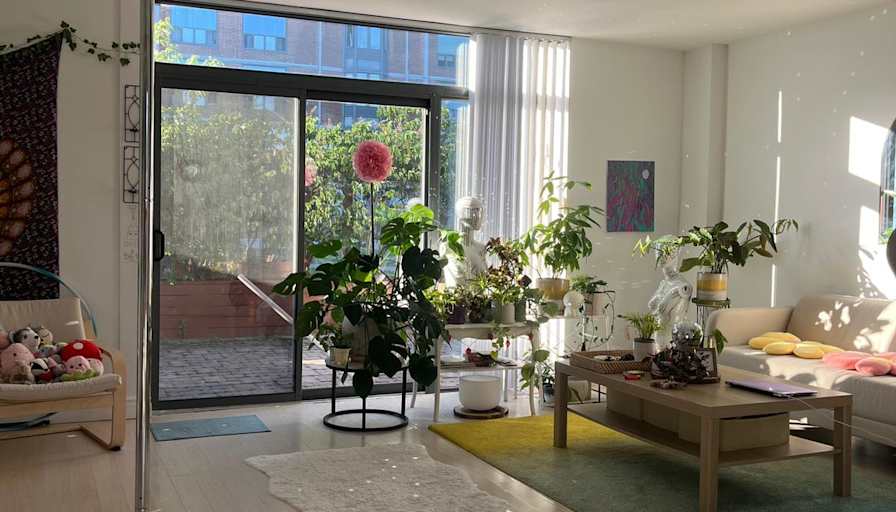 Ana's room