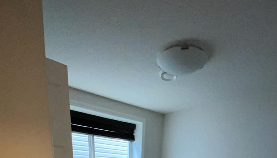 Kamryn's room