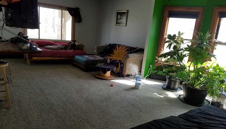 Norman Freiert's room