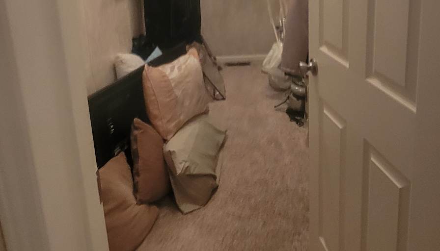 suzy's room