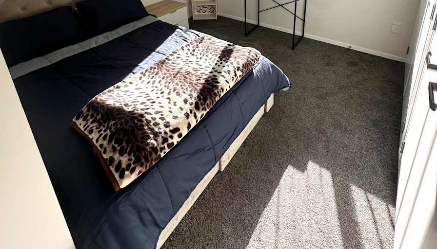 Shayal's room