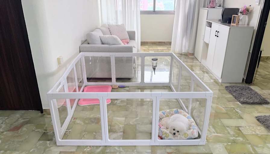 Edwin Ng's room