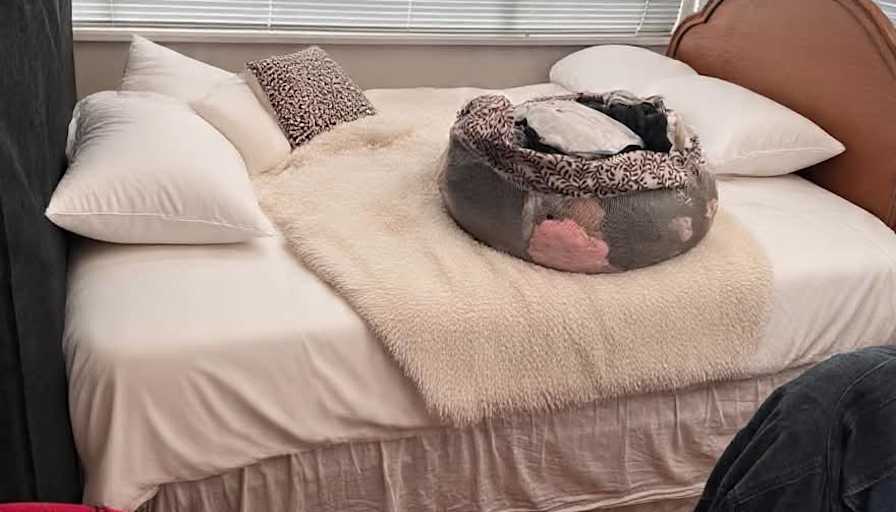 Jayci's room