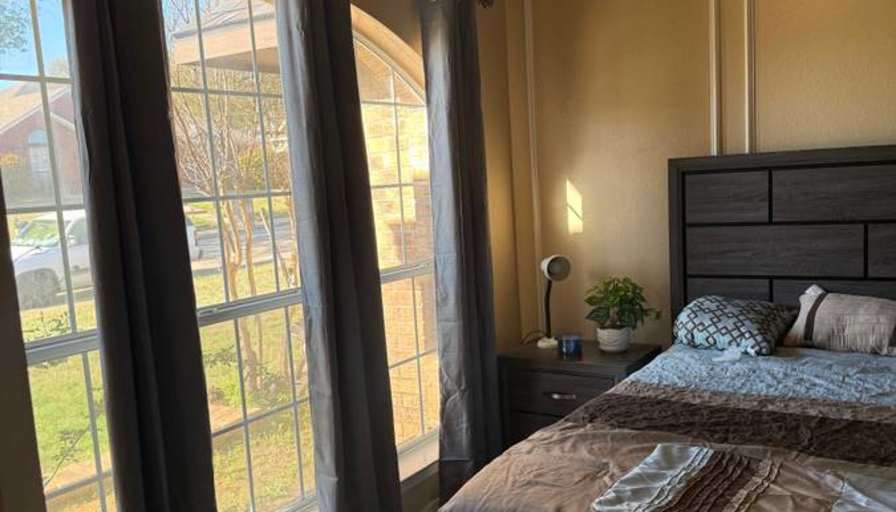 Room For Rent's room