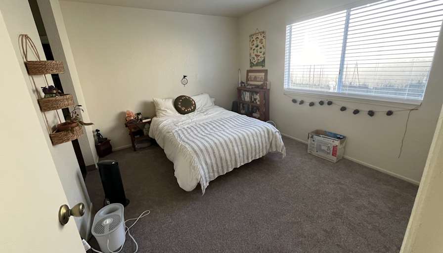Kayleigh's room