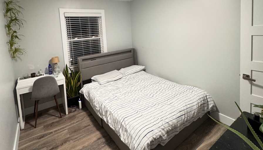 Daryna's room