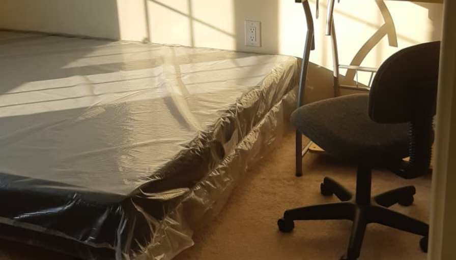 Shaheen's room