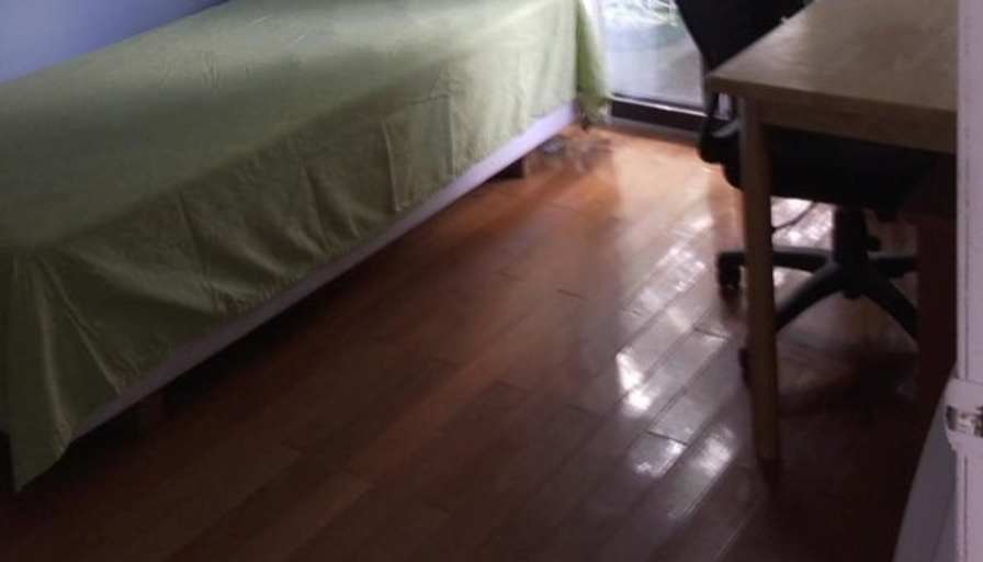 Maria's room