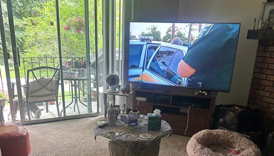 Lisa's room