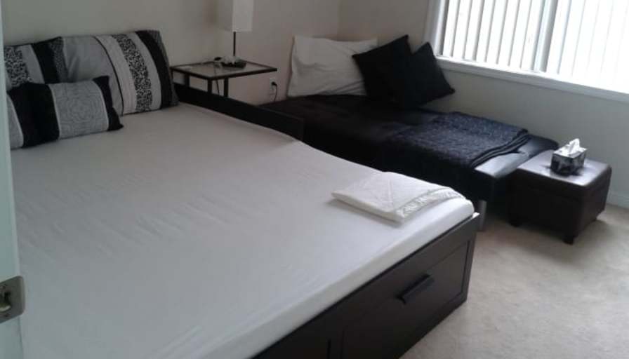 Shaheen's room