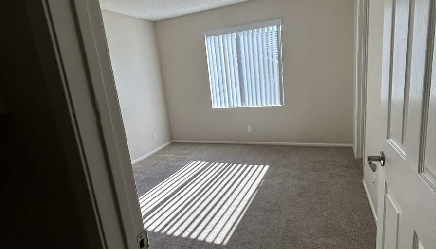 Jenny's room