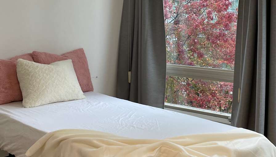 Van House's room
