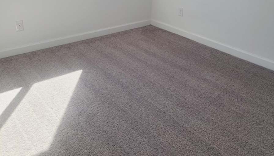 Andrew's room