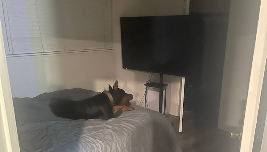 Serge Arbitman's room