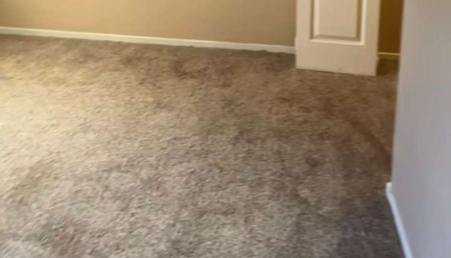 Ashley's room