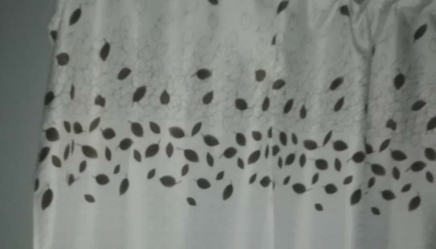 Fidelia's room