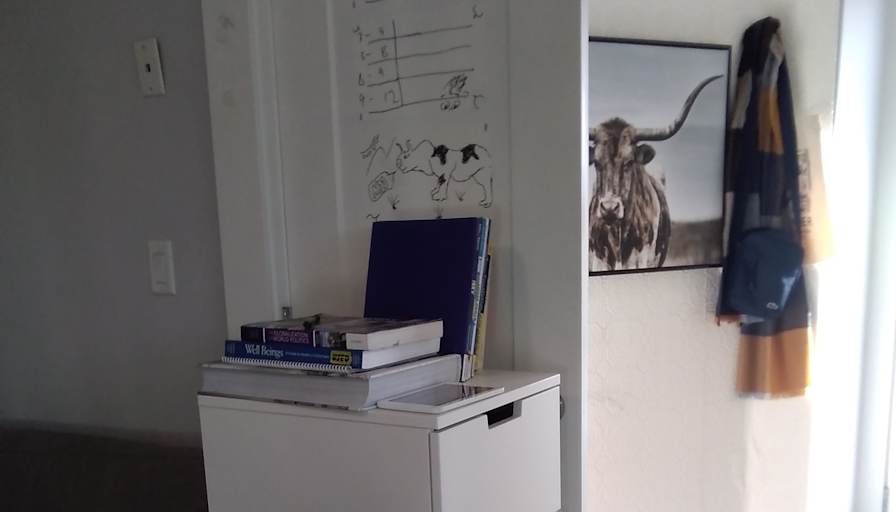 Aaron Zebrafish's room