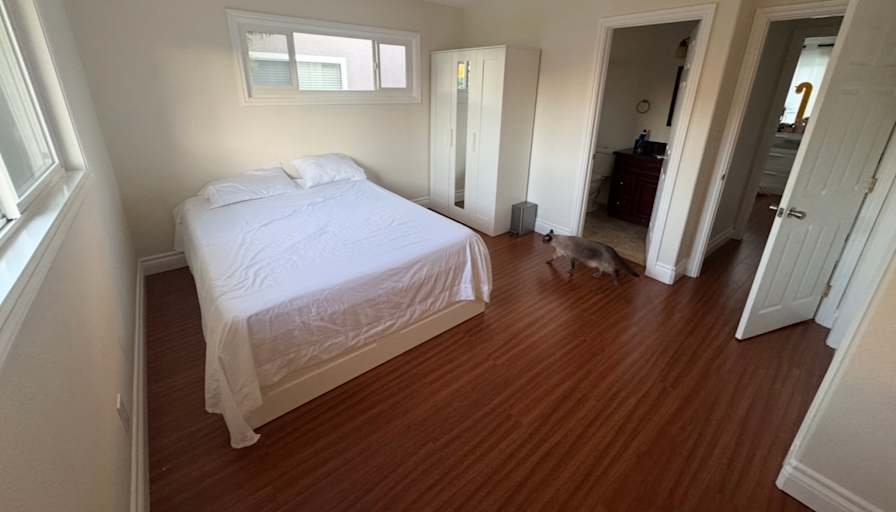 John's room