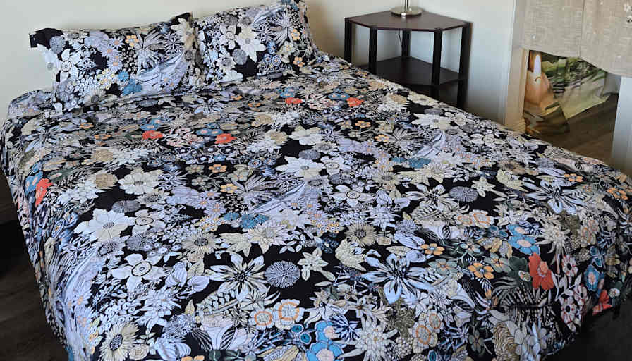 Soy's room