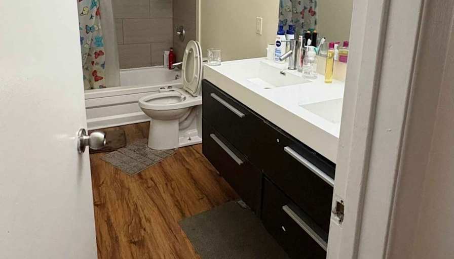 Harsh Rana's room