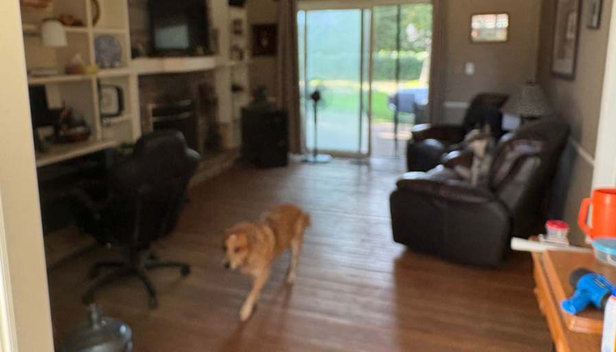 Paul's room