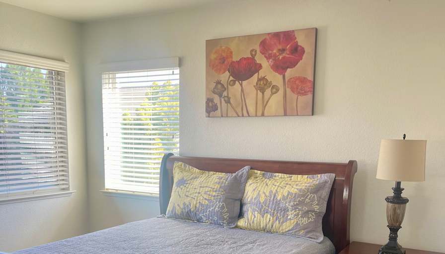 Amrit's room