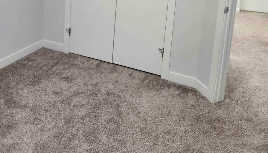 Renuka's room