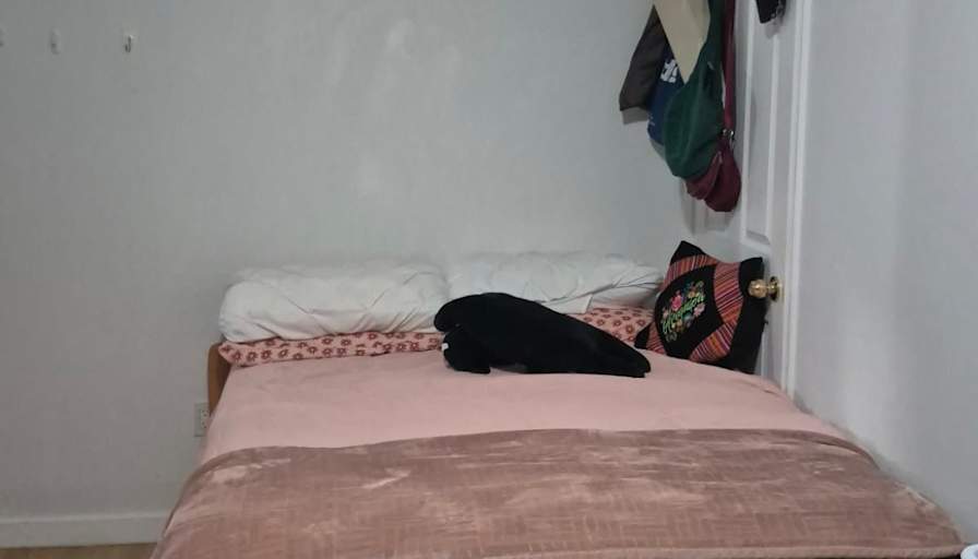 Mandy Luo's room
