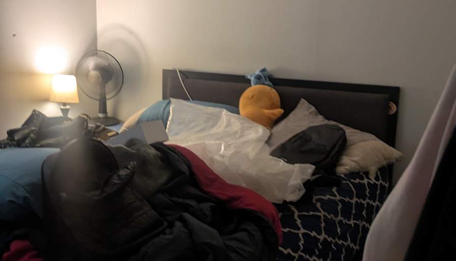 Carlos Hepburn's room
