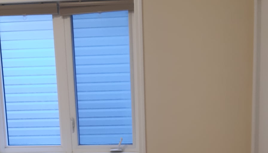 Shaheen's room