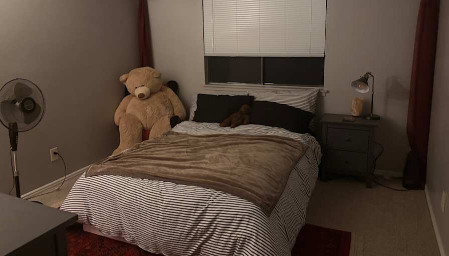 Sophie love's room