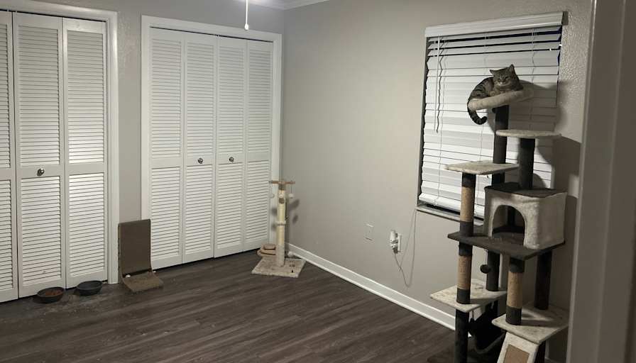 Cheyleen Anez martinez's room