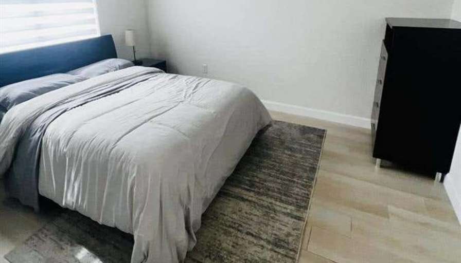 Room For Rent's room