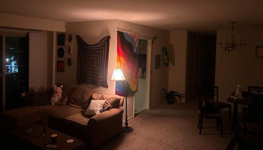 Dominic's room