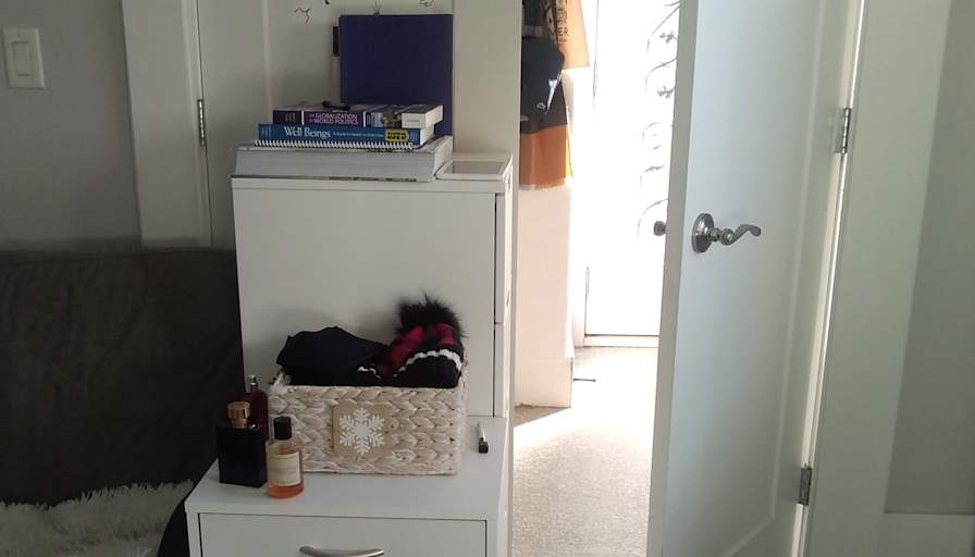 Aaron Zebrafish's room