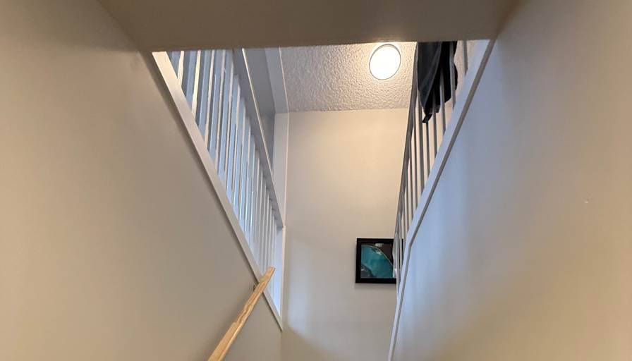 Nemo's room