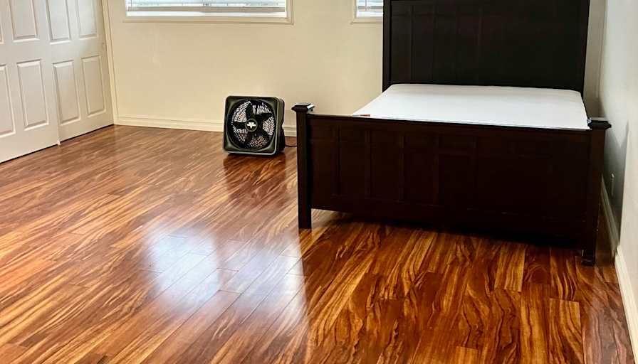 Terry's room